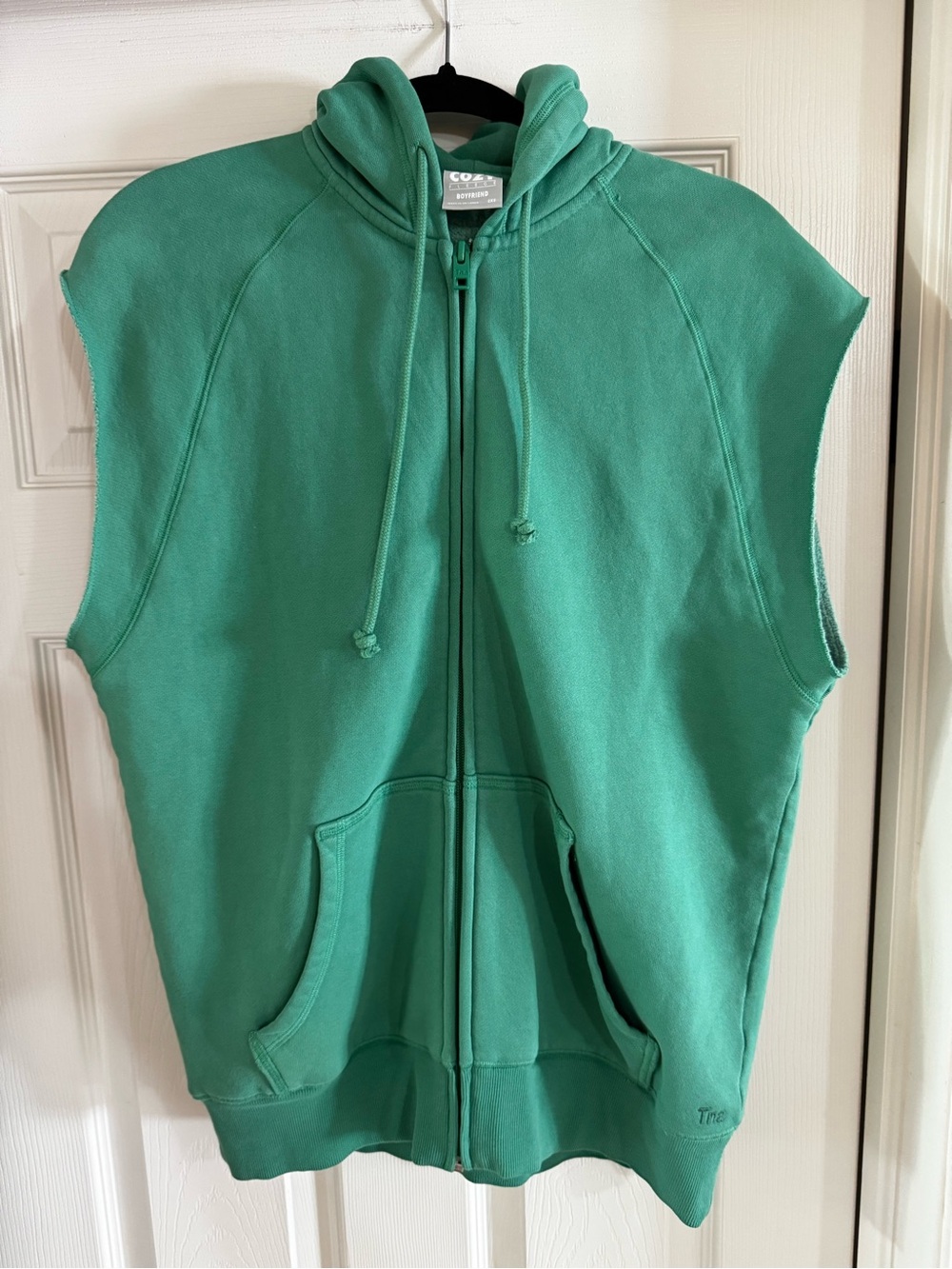 TNA Cozy Fleece Boyfriend Hoodie in Mint Green